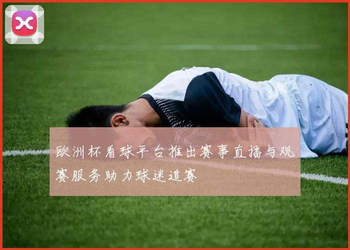 欧洲杯看球平台推出赛事直播与观赛服务助力球迷追赛