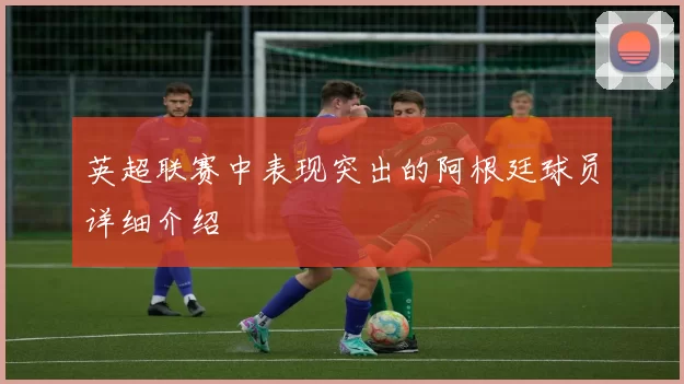 英超联赛中表现突出的阿根廷球员详细介绍