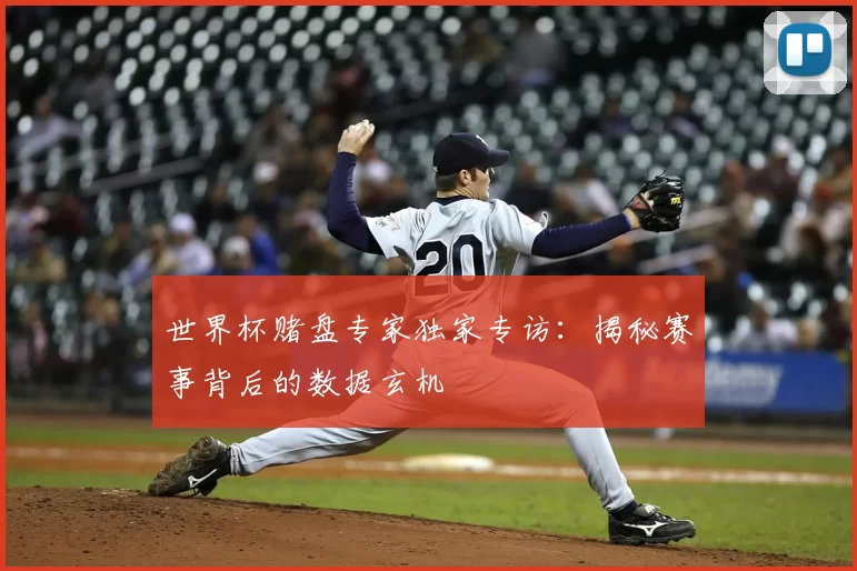 世界杯赌盘专家独家专访:揭秘赛事背后的数据玄机