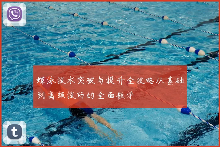 蝶泳技术突破与提升全攻略从基础到高级技巧的全面教学
