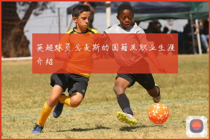 英超球员戈麦斯的国籍及职业生涯介绍