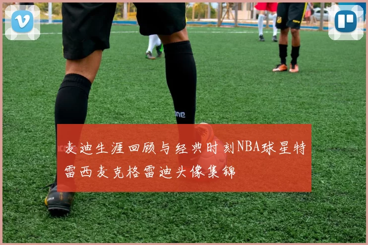 麦迪生涯回顾与经典时刻NBA球星特雷西麦克格雷迪头像集锦