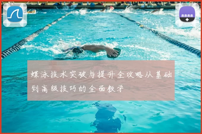 蝶泳技术突破与提升全攻略从基础到高级技巧的全面教学