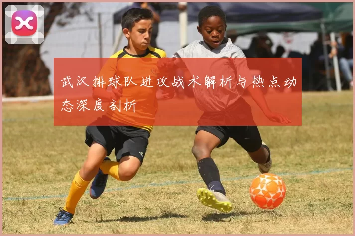 武汉排球队进攻战术解析与热点动态深度剖析