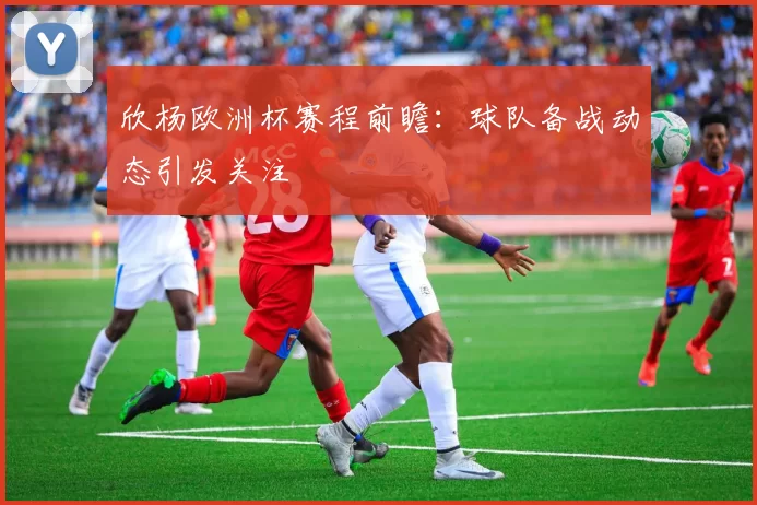欣杨欧洲杯赛程前瞻:球队备战动态引发关注