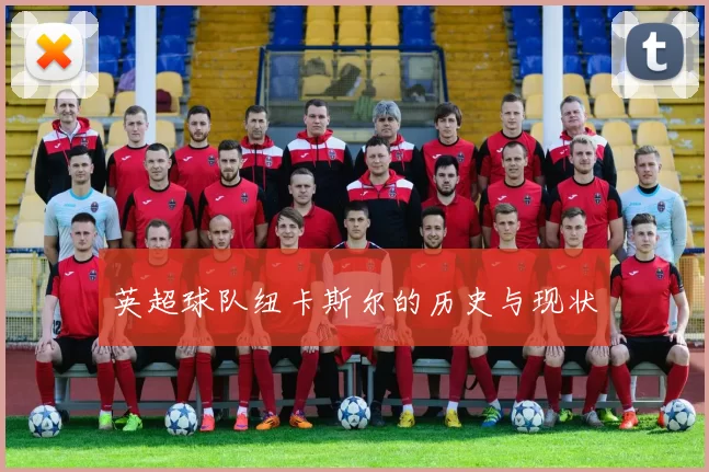 英超球队纽卡斯尔的历史与现状