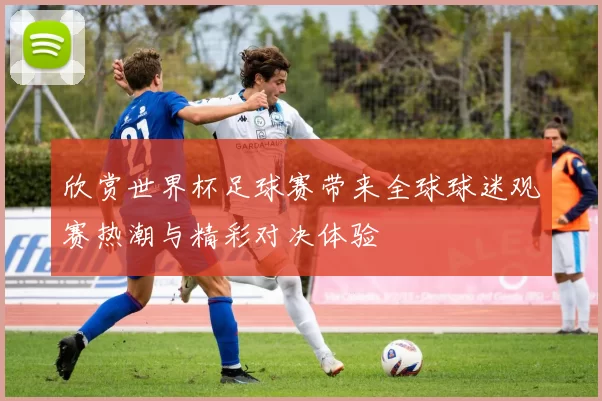 欣赏世界杯足球赛带来全球球迷观赛热潮与精彩对决体验