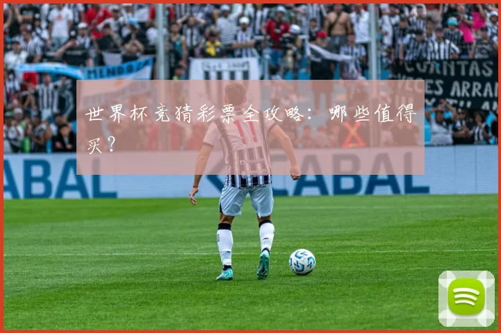 世界杯竞猜彩票全攻略:哪些值得买?