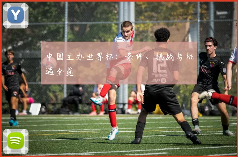 中国主办世界杯:条件、挑战与机遇全览