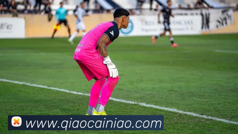 九游体育平台生态图